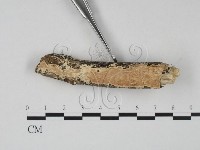 登錄號:F0022466藏品圖，第3張