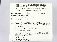 刺皮菌屬藏品圖，第2張
