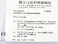 刺革菌屬藏品圖，第2張