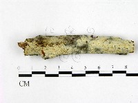 登錄號:F0022471藏品圖，第1張