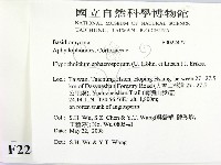 登錄號:F0022477藏品圖，第2張