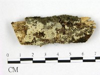 登錄號:F0022477藏品圖，第1張