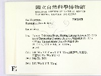 乳菇屬藏品圖，第2張