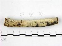 登錄號:F0022480藏品圖，第3張