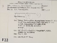 登錄號:F0022482藏品圖，第2張