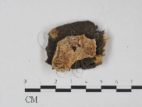 登錄號:F0022482藏品圖，第1張