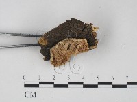 登錄號:F0022482藏品圖，第3張