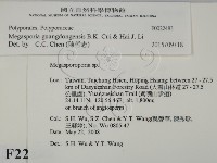 登錄號:F0022483藏品圖，第2張