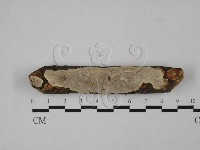 登錄號:F0022483藏品圖，第1張