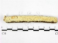 登錄號:F0022484藏品圖，第1張