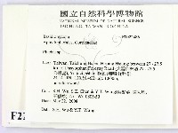 射脈菌屬藏品圖，第2張