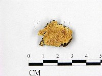 登錄號:F0022488藏品圖，第1張