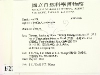 顯絲菌屬藏品圖，第2張