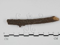 登錄號:F0022491藏品圖，第1張