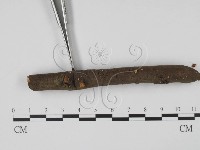 登錄號:F0022491藏品圖，第3張