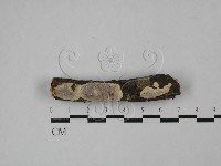 登錄號:F0022492藏品圖，第1張