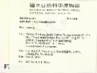 筍殼菌屬藏品圖，第2張