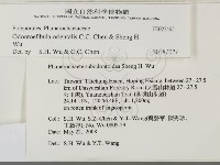 登錄號:F0022495藏品圖，第2張