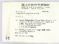 纖孔菌屬藏品圖，第2張