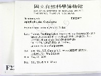 冇骨消絲齒菌藏品圖，第2張