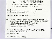 登錄號:F0022498藏品圖，第2張