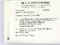 剛毛絲皮菌藏品圖，第2張