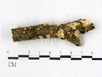 登錄號:F0022500藏品圖，第1張