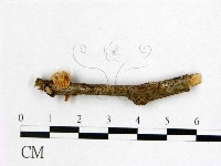 登錄號:F0022502藏品圖，第3張