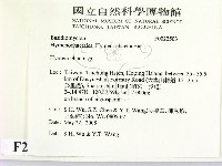 刺革菌屬藏品圖，第2張