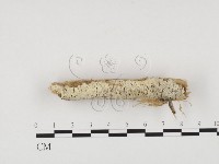 登錄號:F0022504藏品圖，第3張