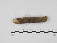 登錄號:F0022505藏品圖，第1張