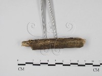 登錄號:F0022505藏品圖，第3張
