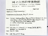 登錄號:F0022507藏品圖，第2張