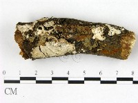 登錄號:F0022508藏品圖，第1張