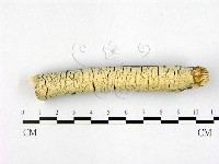 登錄號:F0022512藏品圖，第1張