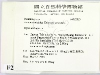 刺革菌屬藏品圖，第2張