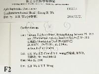 登錄號:F0022514藏品圖，第2張