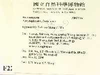 登錄號:F0022519藏品圖，第2張