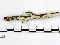 登錄號:F0022519藏品圖，第1張