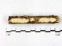 登錄號:F0022522藏品圖，第1張