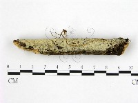 登錄號:F0022523藏品圖，第3張