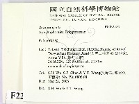 多孔菌屬藏品圖，第2張