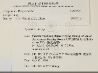 蠟孔菌屬藏品圖，第2張