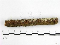 登錄號:F0022526藏品圖，第3張