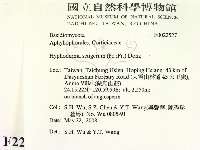 剛毛絲皮菌藏品圖，第2張