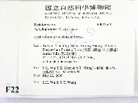 登錄號:F0022530藏品圖，第2張