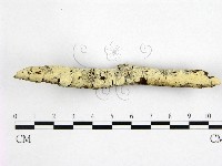 登錄號:F0022530藏品圖，第3張