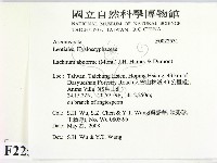 登錄號:F0022531藏品圖，第2張