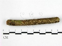 登錄號:F0022531藏品圖，第1張