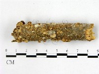 登錄號:F0022532藏品圖，第1張